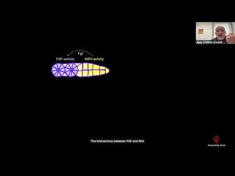 CompuCell3D WS 2026: 5.2.1: Rosettes in Zebrafish Lateral Line [Chitnis and Mukherjee] July 31, 2026