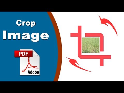 How to Crop Image in PDF with Adobe Acrobat Pro 2020