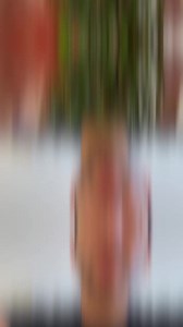 How to Grow Pomegranates with a Store-Bought Pomegranate _ creative explained #lifehacks #plants #diy @howto #plan #planttips #satisfyingvideo #facebookreels #reels #reelusa | Plant Hack Explain