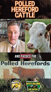 Iowa Time Machine ⏰: On January 16, 1846, the originator of the world-famous Polled Hereford cattle breed, Warren Gammon, was born. The Polled Hereford remains a well-established and popular breed of beef cattle today, with herds in countries worldwide. Growing up in Maine, Gammon moved to Guthrie County, Iowa, after serving in the American Civil War. Despite little schooling, Warren studied law in the 1870s and passed the Iowa State Bar. In 1879, the Gammons moved to Harlan in Shelby County, Io