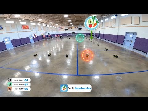 Electra, NACSW NW3 Nosework (Scentwork); 2nd Place Overall (Leg Earned)