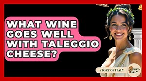 What Wine Goes Well With Taleggio Cheese? - Story Of Italy - Italian Food