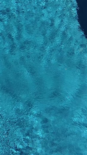 Primera Stone Jade is a polished finish that contains only black pebbles and a deep emerald pigment. This finish pairs well with a modern and classy pool design. Pool builder: @riviera_pools Certified Applicator: @cagunite Learn More: https://wetedgetechnologies.com/products/jade (Picture: Product Line - Primera Stone, Finish Color - Jade) #polishedpebble #pebblepool #wetedgetechnologies #wetedge | Wet Edge Technologies