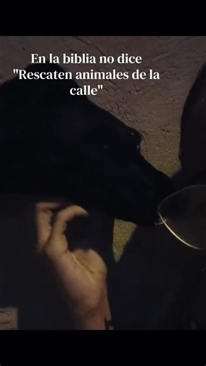 Proverbios 12:10 y el cuidado de los animales — ¿qué dice la Biblia?