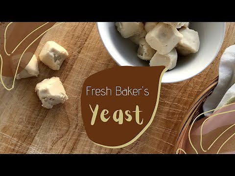 How to make Fresh Bakers yeast