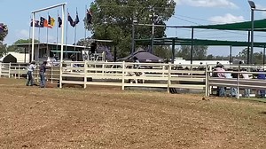 61K views · 551 reactions | The Run that won the 2021 Chinchilla Restricted Open. Congratulations to Will Durkin & Durkins Jewel (by Hazelwood Conman) worthy winners after running 92 (23 65 4) in the final and 90 in the Runoff with HIMSELF! Congratulations to proud owner & parents Rob & Wendy Durkin.  www.hazelwoodconman.com.au  www.durkinstockhorses.com.au Chinchilla Campdraft | Select Sires | Facebook