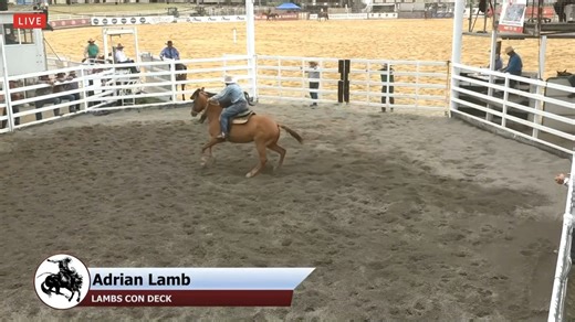 𝟮𝟬𝟮𝟯 𝗖𝗮𝗻𝗻𝗶𝗻𝗴 𝗗𝗼𝘄𝗻𝘀 𝗥𝗱𝟮 LAMBS CON DECK (by Hazelwood Conman) & Adrian Lamb were another great combination at Warwick. 2 90's in the first two rounds saw them share =top spot on the leaderboard going in to the final. They ran an 88 to tie for first place with Luke McEwan & Instant Holly. Another great run in the run off but their 85 saw them miss the win by 3 points. Congratulations Adrian. Hall's Stock Horses Video thanks to #warwickshowandrodeo & #bigscreensaustralia | Select 