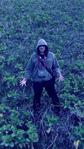 SYSTEM COMPATIBILITY - Full Music Video 24-APR-2026 7 PM GMT