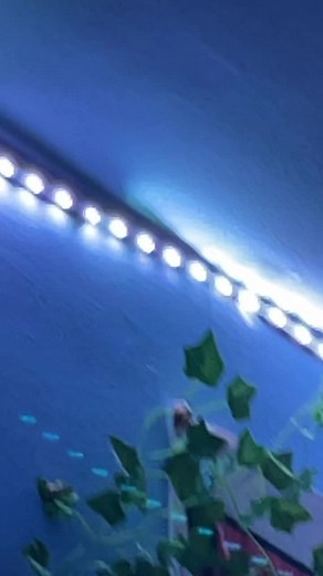 #deep #deepthoughts #fyp #fy #fp