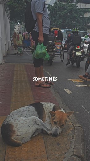 49K views · 110 reactions | জীবনের প্রয়োজনেই ক্ষণিকের বিশ্রাম... | 24 Live Newspaper | Facebook