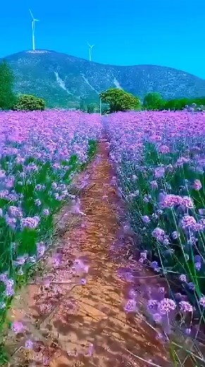 Scenery #BeautifulNature #Facebookreels | Nature's and Gif