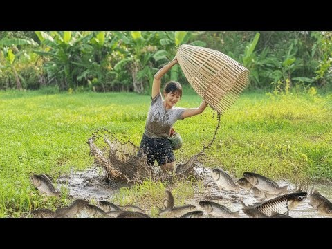 Traditional Fishing, How To Make Traditional Fishing Trap From Bamboo