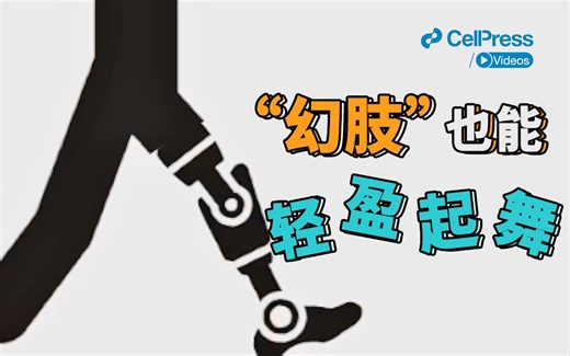 “幻肢”也能轻盈起舞！【CellPress细胞科学】
