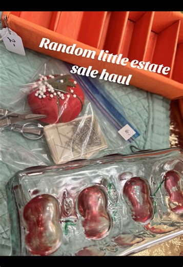 Discovering Hidden Treasures at an Estate Sale