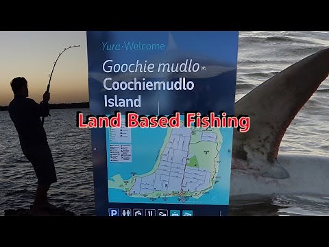 Moreton Bay SHARK Fishing - Coochiemudlo Island