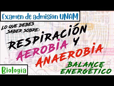 Aerobic and Anaerobic Respiration, Energy Balance || Biology UNAM
