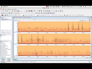 Part 6: Paged Windows 1 (English)