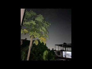 Dikoo - Sɛ Menhyia ( Audio Slide )