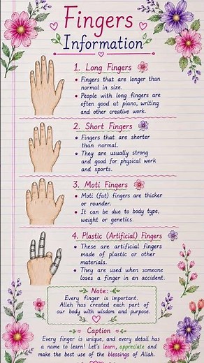 Every finger is unique, and every detail has a name to learn! 🖐️📚