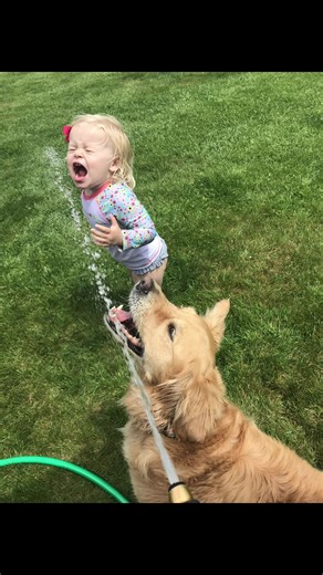 This is your sign to get the dog ❤️. #goldenretriever #golden #loss #lossofadog #besties #bestie #dogsofttiktok #thisisyoursign #kidsanddogs #kidsoftiktok #viral