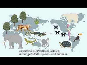 Actions for conserving threatened plants and animals (Digested.)