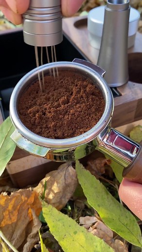 Ikapecoffee on TikTok