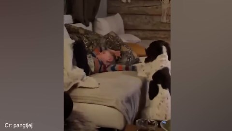 You won’t believe the silly things my dog actually does