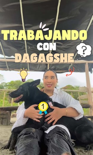 Pov: tu humana se desmaya en la playa tú eres su perrita de servicio médico y no te dejan tener tus vacaciones tranquila 🐾🌊 -Dagagshe- #servicedog #disautonomia #fibromialgia #playa #soyjhervasquez