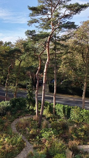 4.8K views · 212 reactions | Middle of November in one of our gardens...