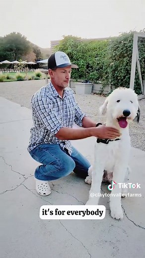 Exploring Clayton, California's Unique Farm Life