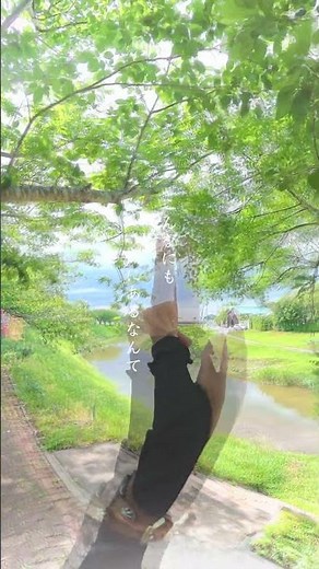 #エブリシング #everything #misia #rebel250 #jpop #japan #shorts #歌謡曲 🌲美🇯🇵日本 🌳
