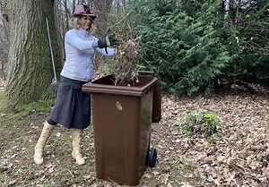 Garden waste collection for less than a pound a week
