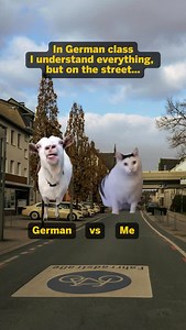 361K views · 4.2K reactions | Can you relate? #learngerman #deutschlernen #germancourse #germanteacher | Learn German with Anja | Facebook