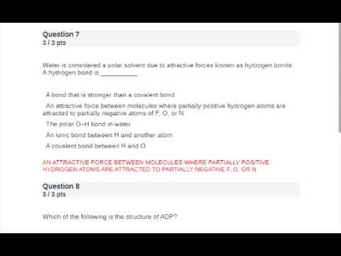 BioChem 210 Final Exam Portage Learning