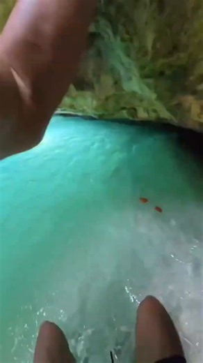 man make mario game in real spongebob | Bollywood spotted