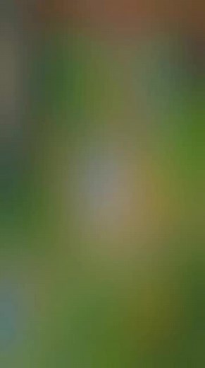 Nunu Q Full HP Guide for League of Legends: Wild Rift