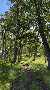…visit a WV State Park. 😉 📍: Lost River State Park, Droop Mountain Battlefield State Park, Prickett’s Fort State Park, Beartown State Park, Holly River State Park | West Virginia State Parks