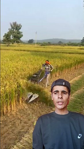 ماكينة حصاد القمح