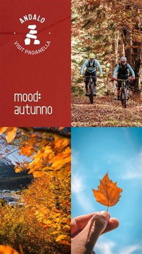 🍂 Benvenuto Autunno! 🍂 Ad Andalo i larici e i faggi si accendono di rosso e oro, i sentieri profumano di bosco e i funghi fanno capolino tra le foglie. È il tempo della vendemmia, dei calici di vino che scaldano il cuore e dei sapori che raccontano la montagna. 👉 L’autunno è fatto per camminare piano, respirare a fondo e godersi ogni attimo. ✨ Ti aspettiamo tra i colori e i sapori della Paganella! | Andalo Dolomiti