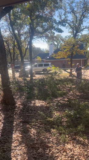 1.2K views · 23 reactions | Darn Danny, sure am sorry I am stuck at my desk all day! #wells2025 | Carol Wells | Facebook