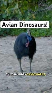 What is an Avian Dinosaur?
