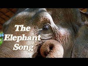 The Elephant Song - Kamahl / Music Video with lyrics 🎧