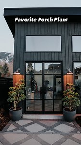 My favorite porch plant….Boxwoods!! I put together my favorite pots for outdoors, fertilizer and more… comment GROW!! 🪴Why I love boxwoods on my porch🪴 #1- Drought-tolerant aka they forgive you if missing a watering #2- Do well in both full & partial sun #3- They can survive the winter in pots We live in Utah (zone 5) and, we lived in Connecticut (zone 7) and potted boxwoods on my porch have done well in both areas! If we are having an extreme winter I make sure they are under a covered porch,