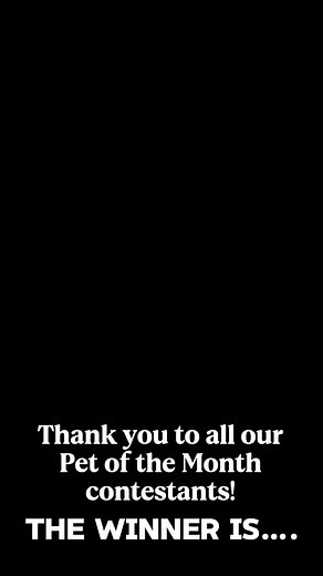 Congratulations SMOKEY the fire dog! 🏆 Ok- so of course a fire dog caught our eye but that was not the only reason. Smokey is the fire department’s mascot. He goes to the events and trainings but more than that he is on his way to be a first responder therapy dog. He already has been a huge help to first responders on the front lines of a wildfire. 💫 Use code SMOKEY for 15% off Sitewide for the month of November. Thank you to all the amazing pets that were submitted. It was so fun seeing all t