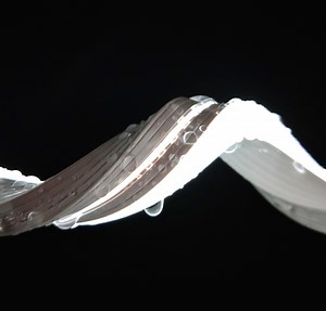 [Hot Item] Multifunctional Flexible LED Neon Tube Silicone Coated LED Strips IP68 360 Degree LED Neon Flex Factory Price White Multi-Color Changing Neon Flex