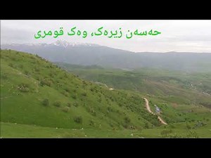 Hassan Zirak, Wek qumri حەسەن زیرەک، وەک قومری