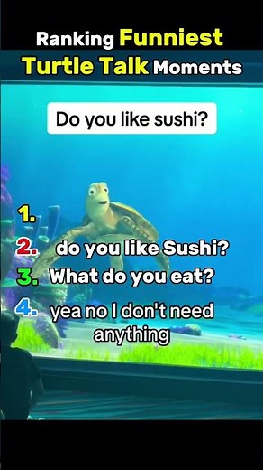 Ranking funniest Turtle Talk Moments #shorts #ranking #funny