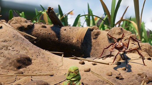 Grounded red anthill: Position and how to enter?