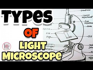 Types of Light Microscope ‪@paperpenbiology‬