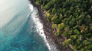 The Season of Creation comes to a close today on the Feast of St. Francis of Assisi. We invite you to spend 10 minutes with us reflecting on the beauty of nature and our call to protect the Earth. Don't forget that you can find all of our Season of Creation resources and calls to action on our blog at https://csjcarondelet.org/season-of-creation-2021/. | Sisters of St. Joseph of Carondelet